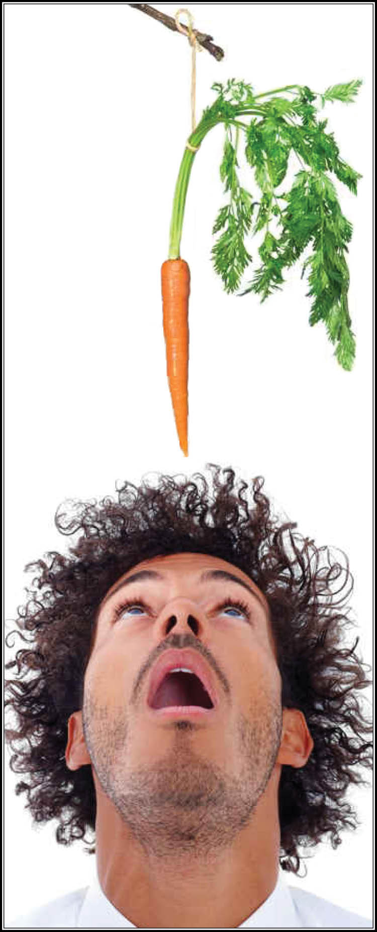 Employee Carrot Motivation