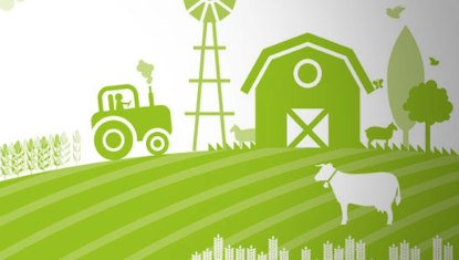 Riding Instruction III